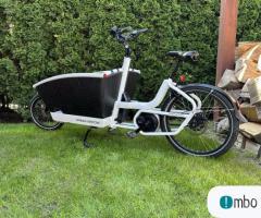 Urban Arrow 2020 Bialy Performance Line 500Ah Enviolo NuVinci